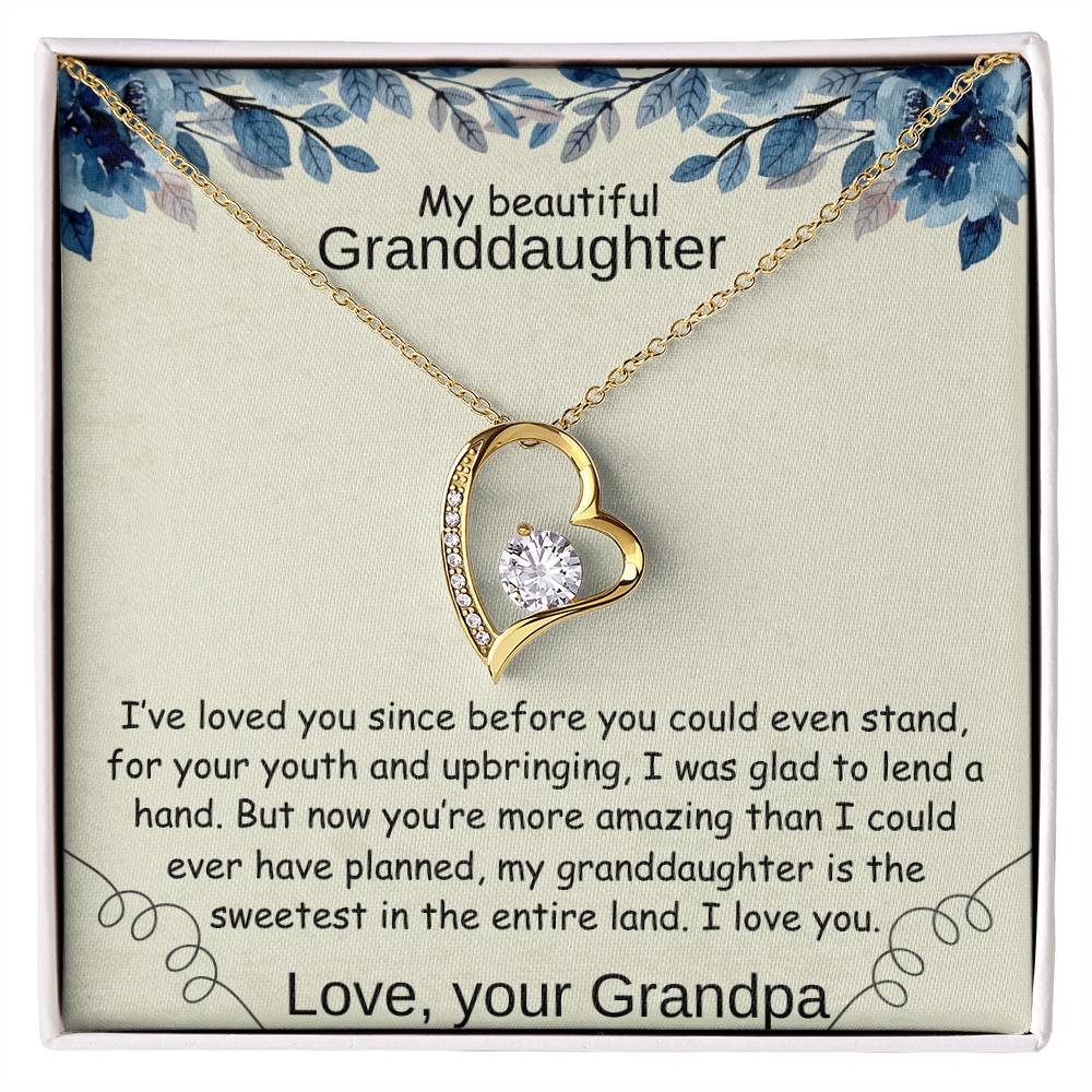 To my GrandDaughter - I Loved You Before You Could Stand