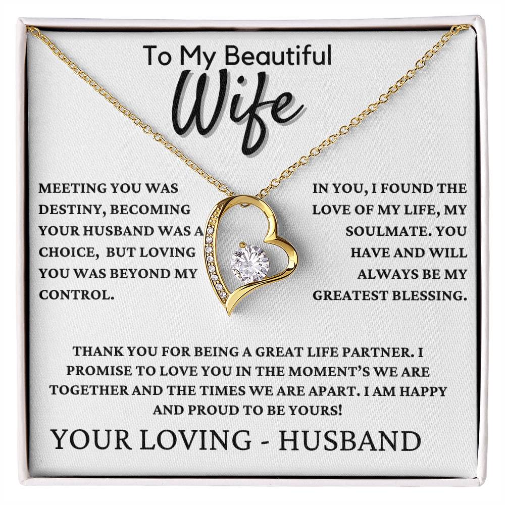 Gift For Wife - Meeting You Was Destiny!