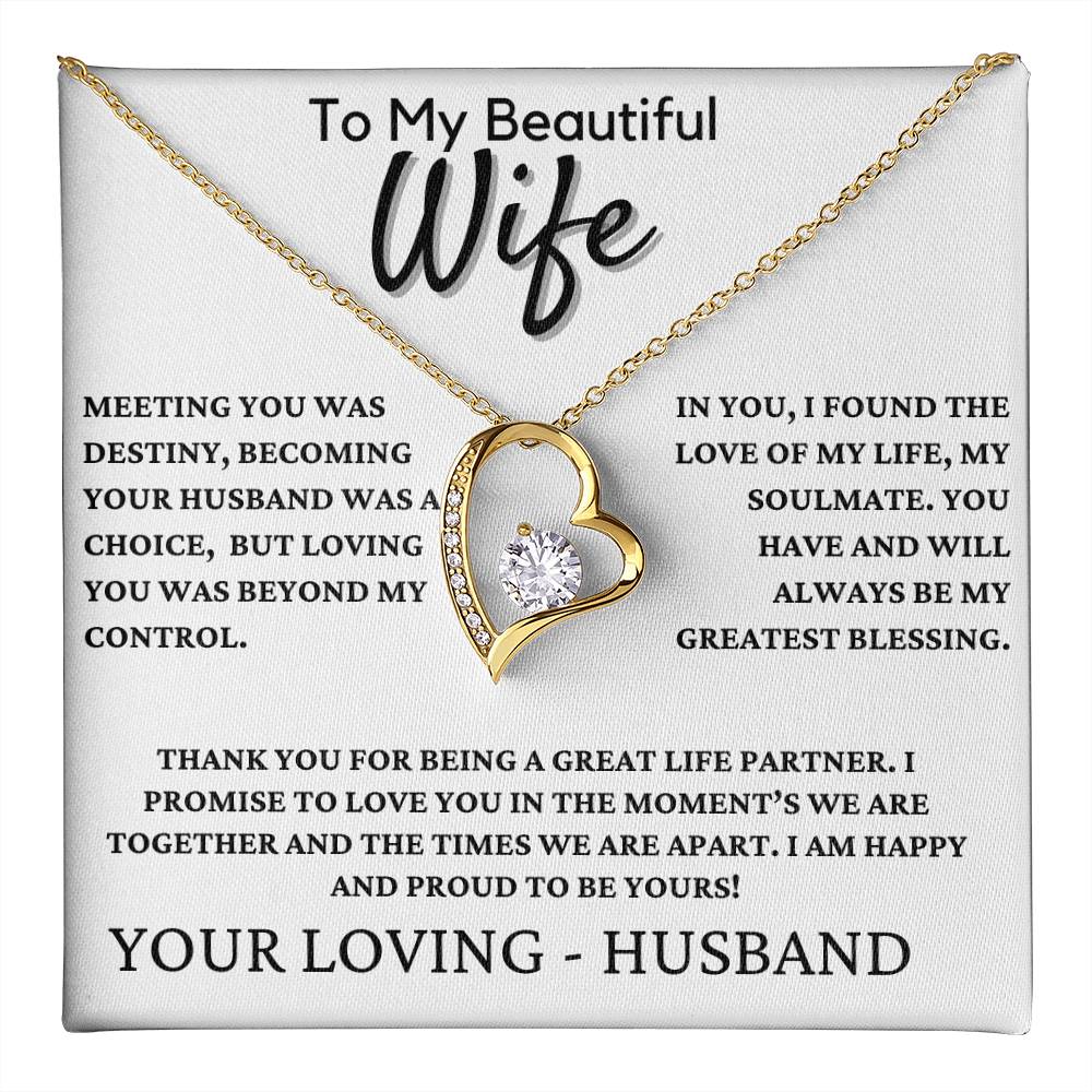 Gift For Wife - Meeting You Was Destiny!