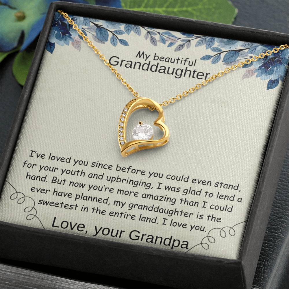 To my GrandDaughter - I Loved You Before You Could Stand